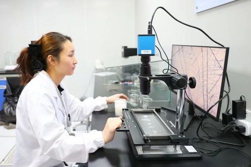 最美生產線 走進中紡聯檢上海，探索檢驗技術服務的卓越之旅